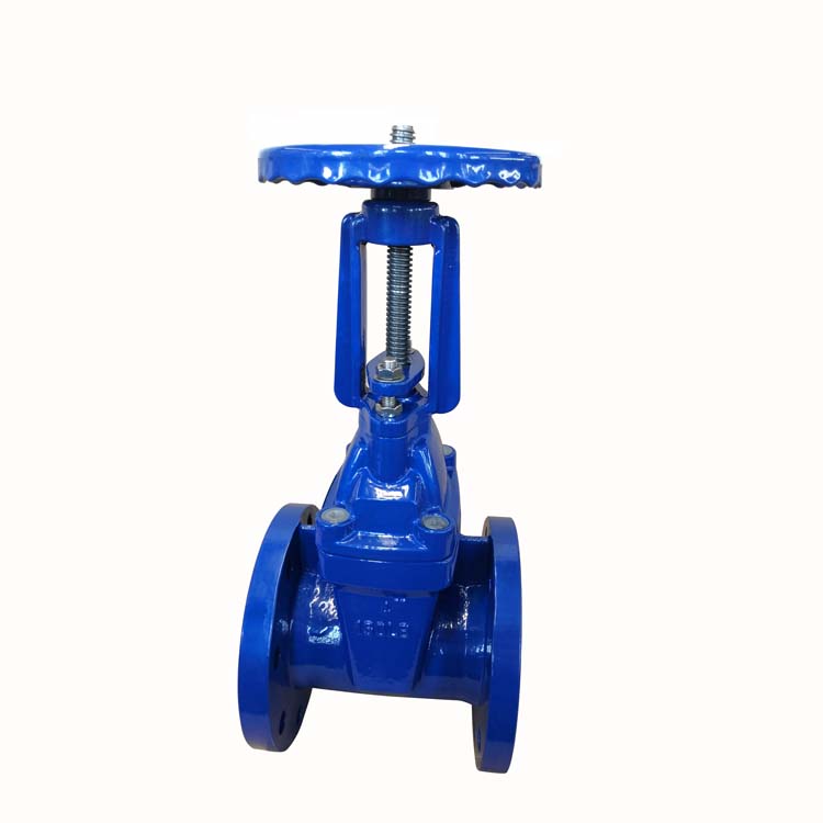 Z40X/Z41X DN50-DN80 High Quality and Best Price Valves of rising stem Gate valve