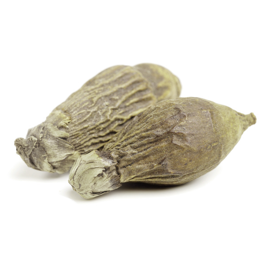 Оптовые закупки орехов betel nut areca catechu Сушеные Орехи