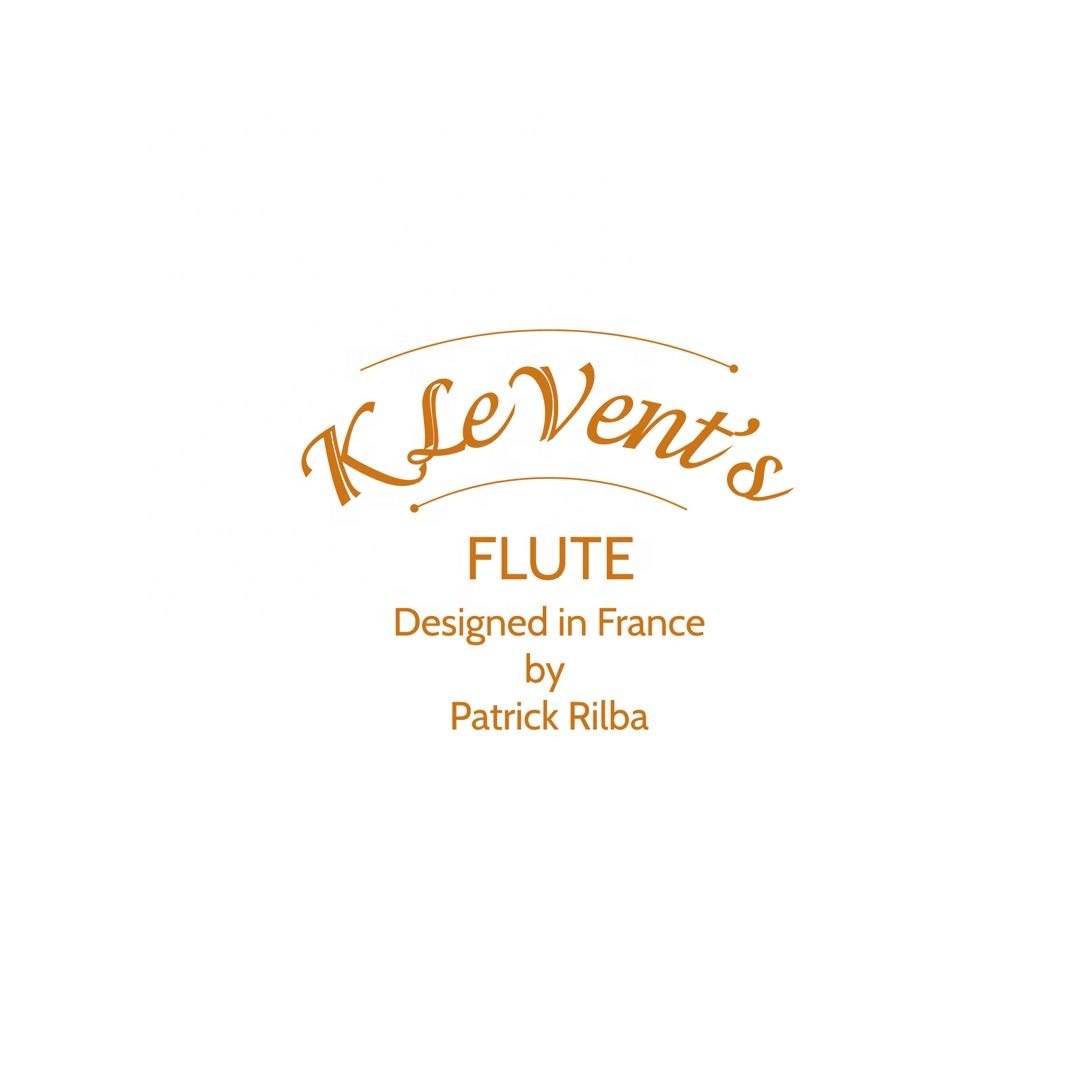 NS MODEL FLUTE WOODWIND INSTRUMENT MUSICAL INSTRUMENT STUDENT FLUTE SILVER FLUTE