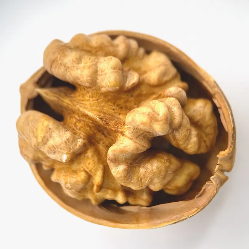Hot Selling Healthy Snack Walnut Kernels Light Halves Dried Nuts