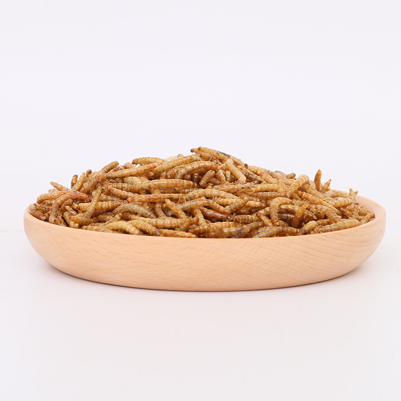 Direct Wholesale High Protein Larvae Rich Nutrition Edible Insects Dried Mealworm