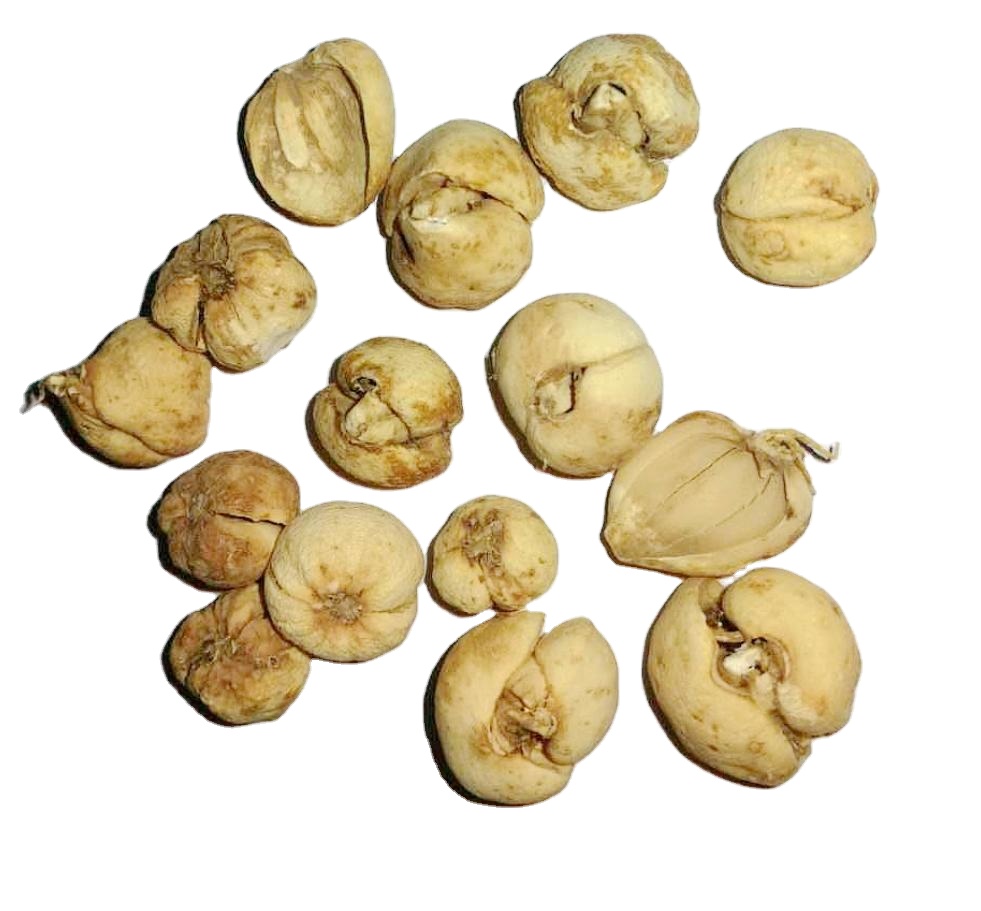 Wholesale Dried fruit vegetable product dried white lotus seed organic that good for health