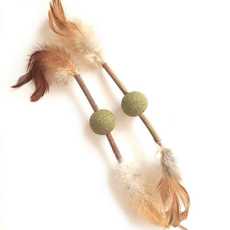 Wholesale Creative Catnip Sticks Treat for Cats with Competitive Prices