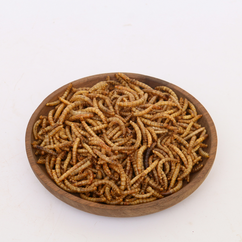 High-quality protein dry mealworm animal feed reptile protein dried mealworm