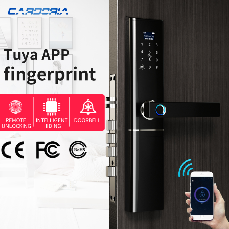 Смарт-замок Tuya с Wi-Fi и дистанционным управлением, умный цифровой замок для дома, квартиры и офиса из цинкового сплава