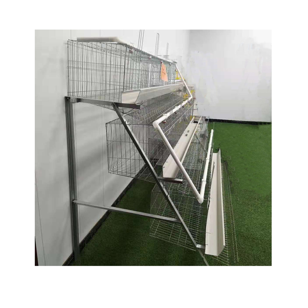D type one side 3 tiers 48 bird laying hens chicken layer cage for design in Philippines poultry farm