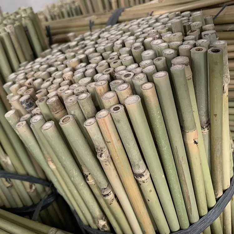 Dry Bamboo Sticks for Decoration