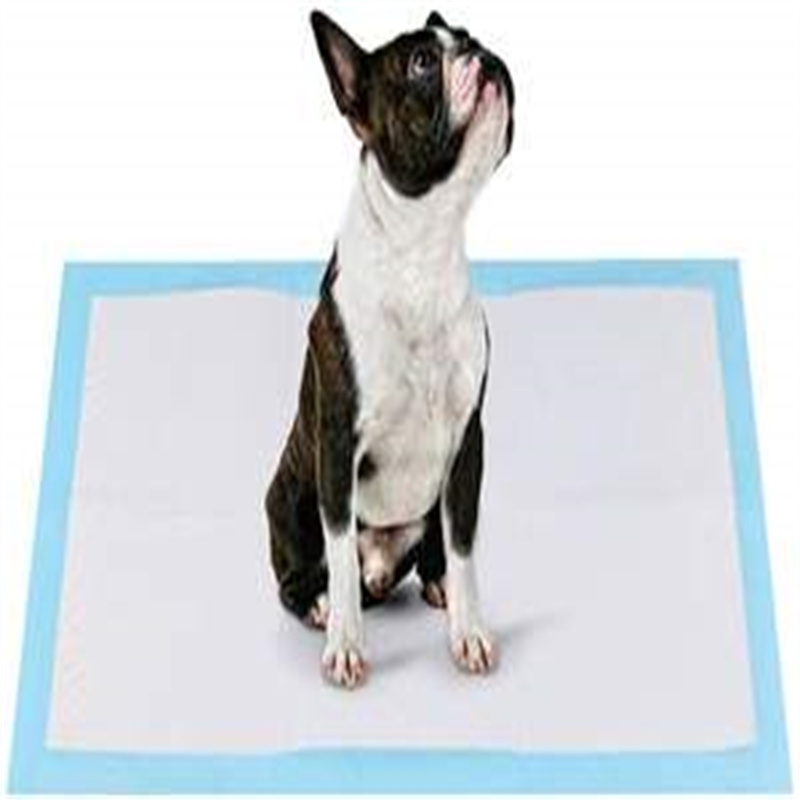 Indoor and outdoor super absorbent and Leak-Free Pet Toilet Training pee pads