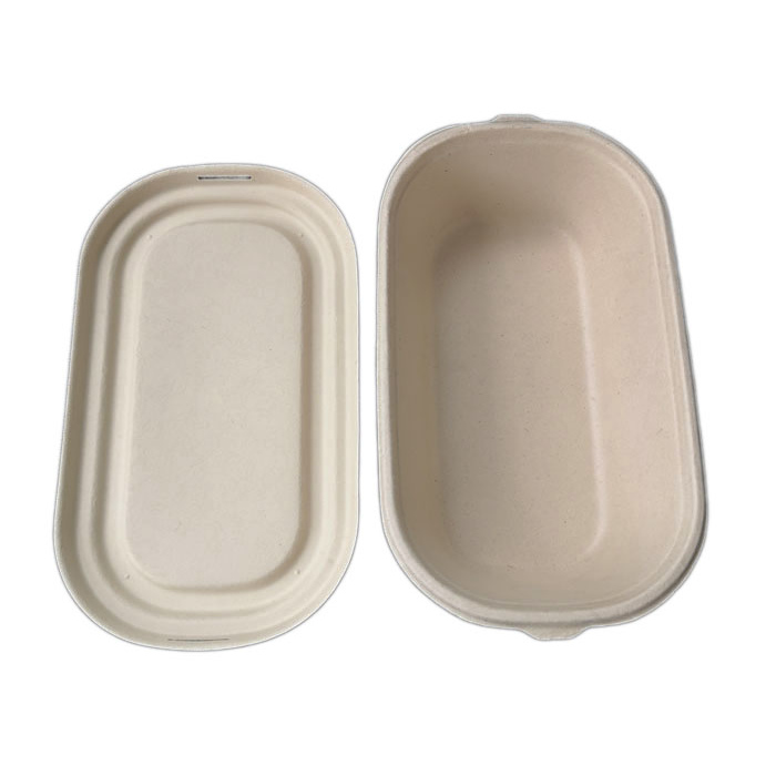 oval bagasse salad bowl with lid ecological