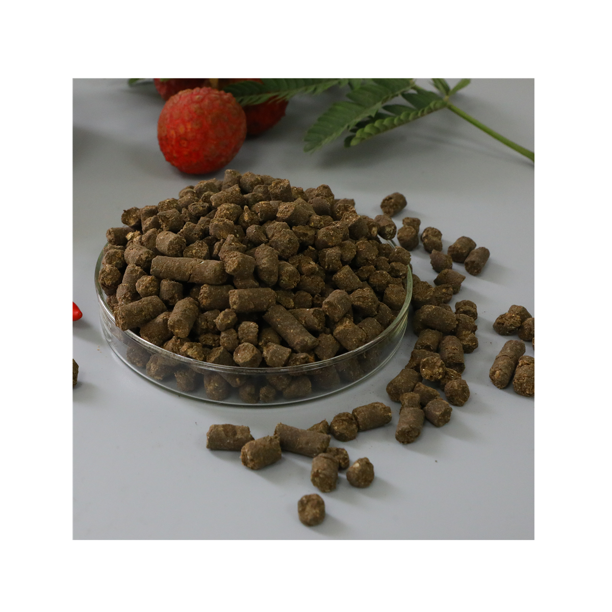 Competitive price!The high quality compost fertilizer organic fertilizer for tea fertilizer npk organic