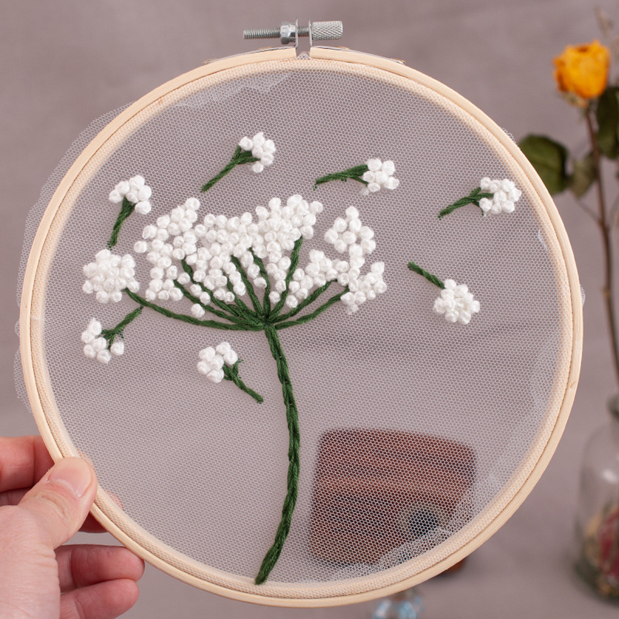 Transparent Embroidery Kit for Beginners with Hoop, Thread, Needles, Clear Pattern, DIY Craft