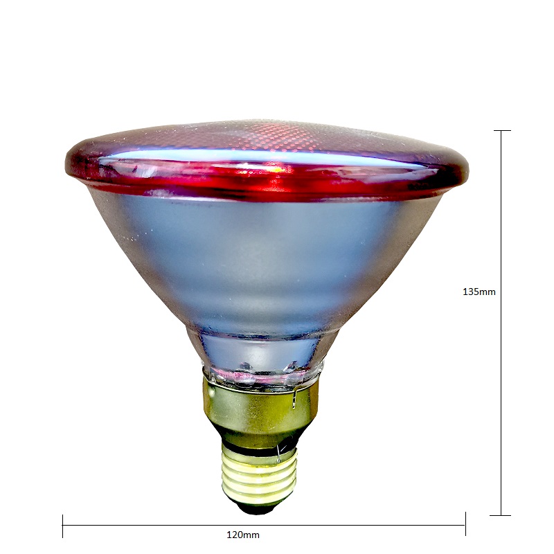 Hard Glass Reptile Heater Ahs Par 38 100W 125W 175W 200W 250W Infrared Heater Far Infared Heat Lamp