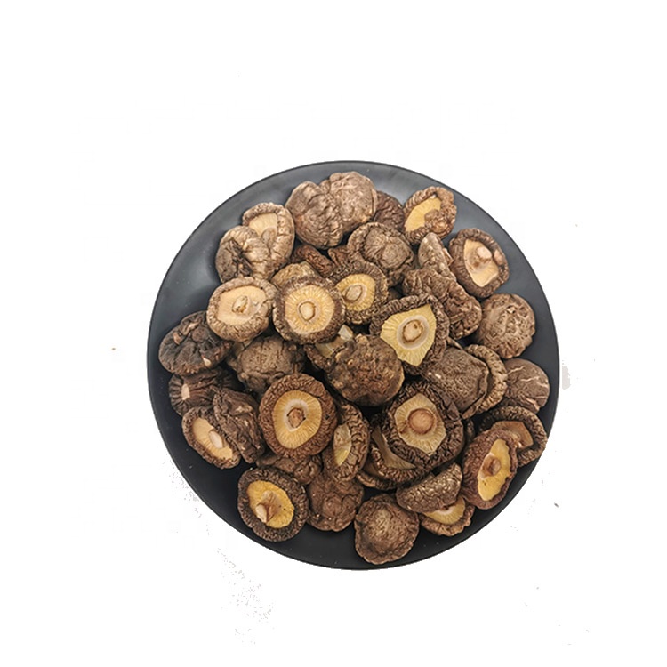 Xiang gu Best price high quality natural Dried magic porcini mushrooms Shitake3mm