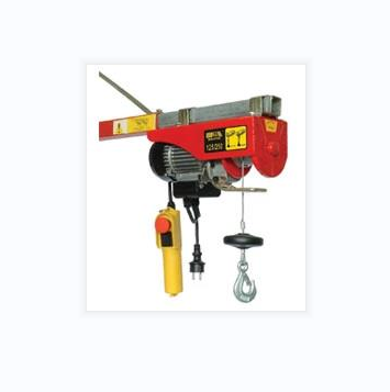 Electric Hoist Lift with Remote Control Single, Double Slings