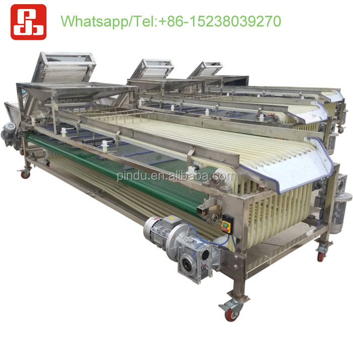 automatic fruits hawthorn walnut cherry tomato longan lychee citrus sorting machine