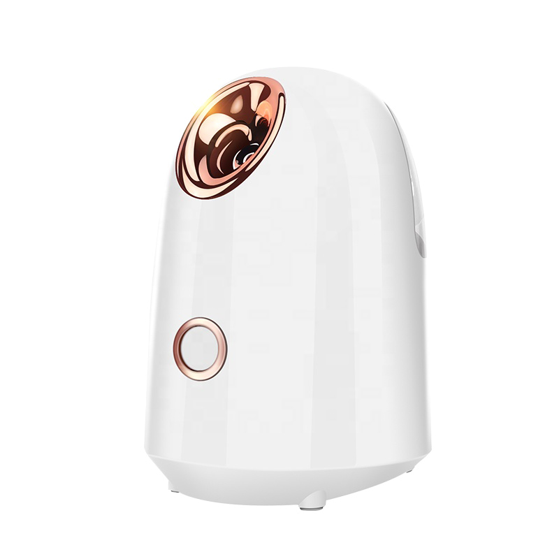 Долгое время работы vaporizador Электрический нано горячий профессиональный ионный портативный паровой аппарат для лица