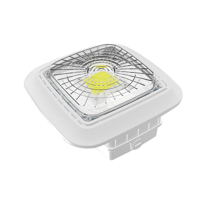 New design motion sensor 30w for LED Canopy light for garage, car parking