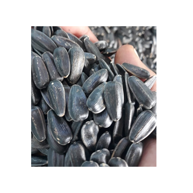 307 Bulgarian The Most Popular Hot Selling Black Sunflower Seeds Big Size Snacks Cracking Sunflower Seed Packaging New Crop