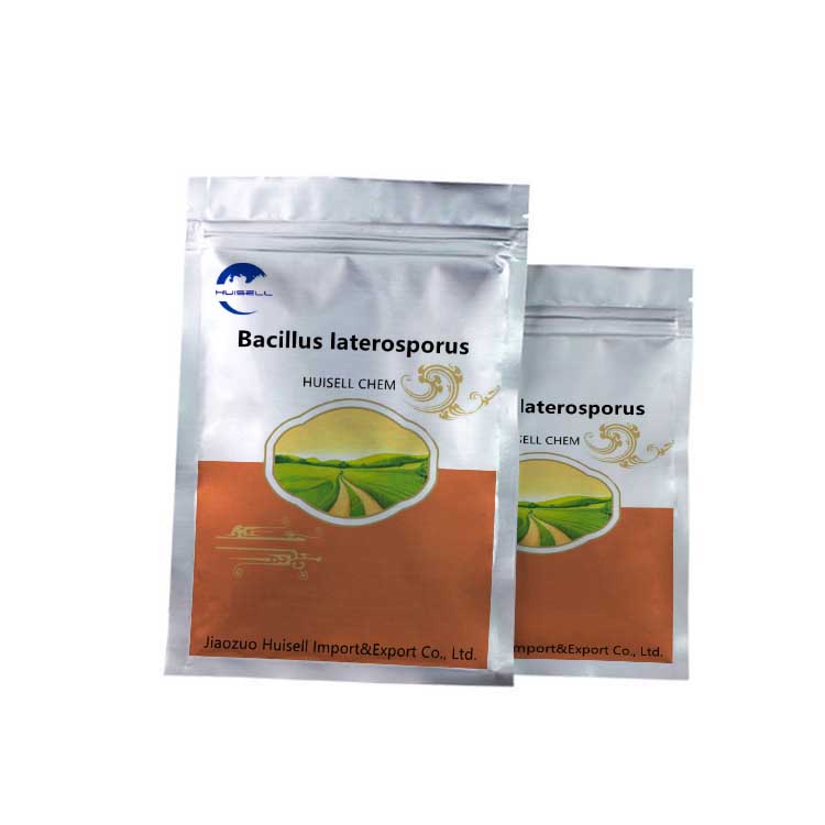 PRO/S5 Bacillus Laterosporus Probiotics High Quality