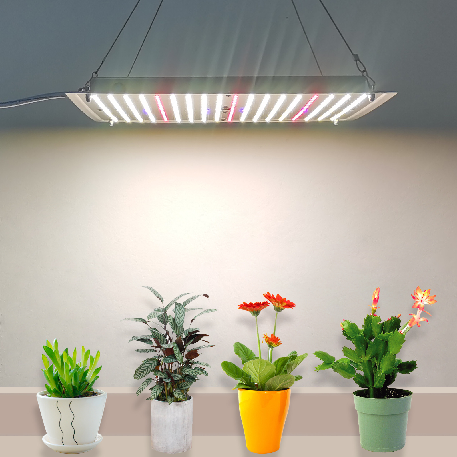 Новый продукт Liweida 730nm Светодиодная доска для выращивания света с отдельным управлением УФ и ИК 70 Вт белая лампа для вертикального сельского хозяйства комнатных растений