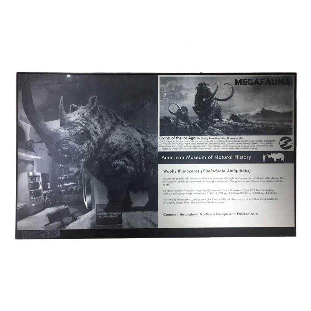 Крупнейших 32 дюймов e-ink большой экран меню дисплея рекламы большой e-ink дисплей