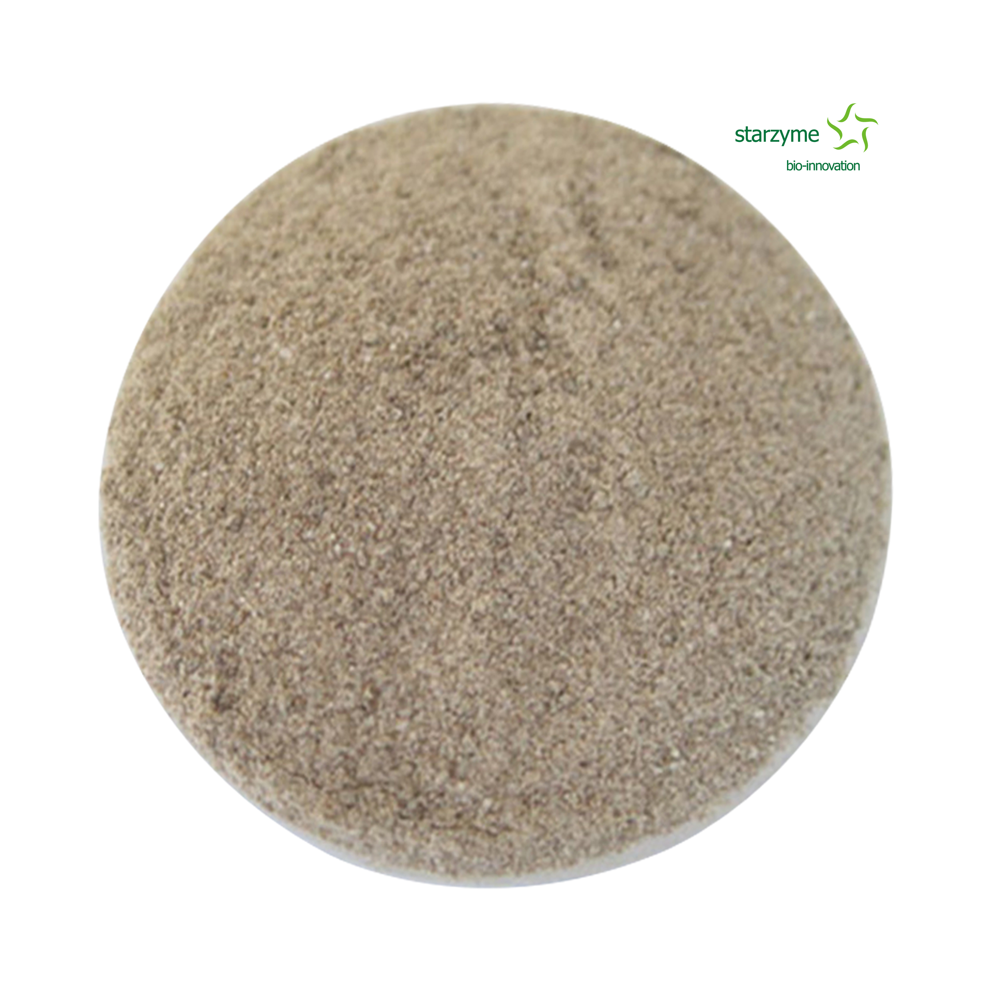 Feed Grade Glucose Oxidase Enzyme Factory