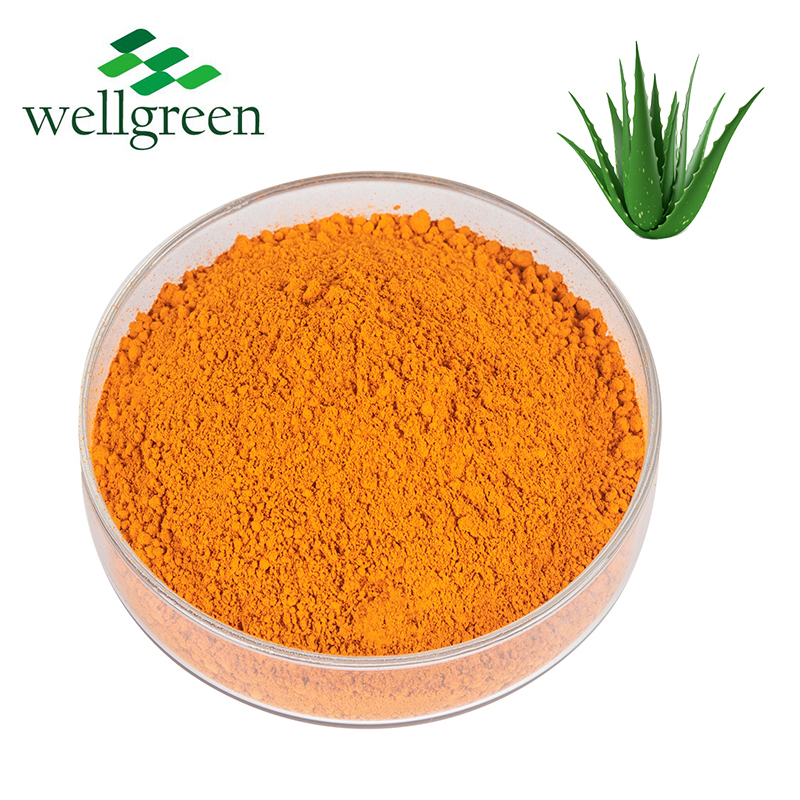 Wellgreen Ingredients 98% Aloeemodin Aloe Extract Powder Pure Aloe Emodin