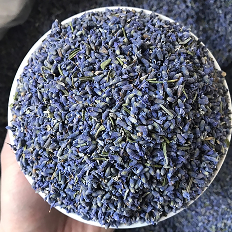 OEM/ODM Fresh Dried Lavender Flowers Wholesale