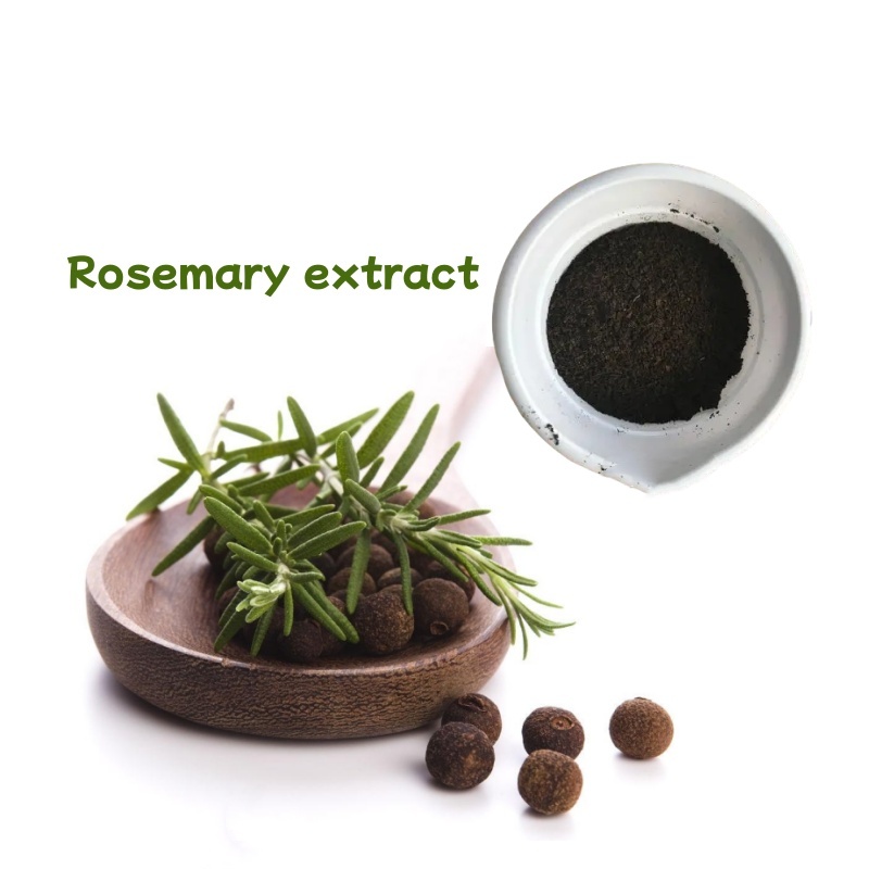 Premium Food Seasoning Rosemary Extract Monosodium Glutamate for Beverages Skincare Oils Hair Growth Agents Laundry Detergent