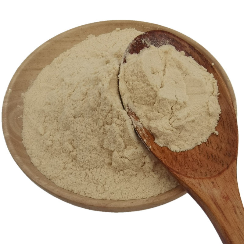 Wholesale bulk natural seasoning organic dehydrated garlic powder garlic extract
