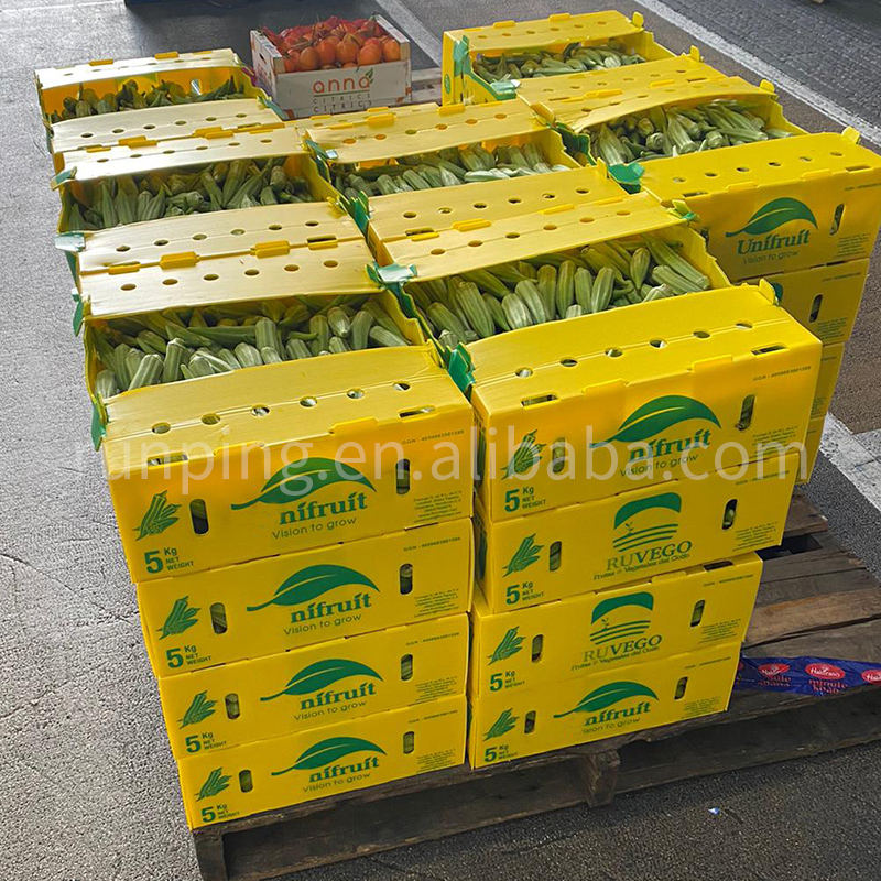 Custom Vegetable Packaging Corrugated Plastic Box Fruits And Vegetables Packaging Boxes