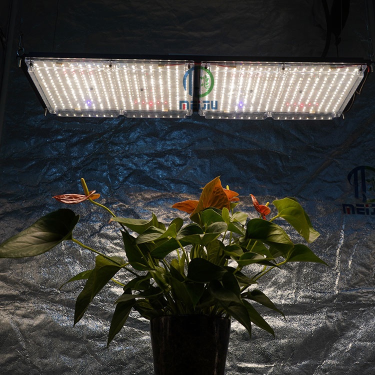 В продаже 2021 Meijiu LM301H Новый 240 Вт 660 LED полный 4000K LED Grow Light, Rita Fang рекомендует IR UV Meiju 240W qb grow lights