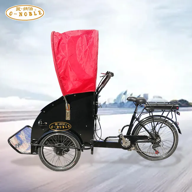 rickshaw Passenger tricycle cargo delivery trike