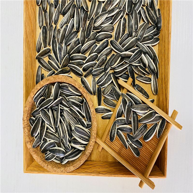 Xinjiang Melon Seeds Sunflower Seeds 363 Natural