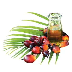 TROPICAL Cooking Red Palm Oil |Ukraine Origin | Halal certified palm oil
