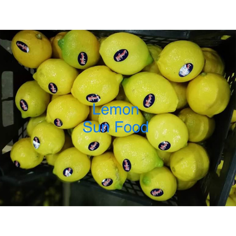 Wholesale Price Yellow Natural Fresh Lemon Fruit From Egypt