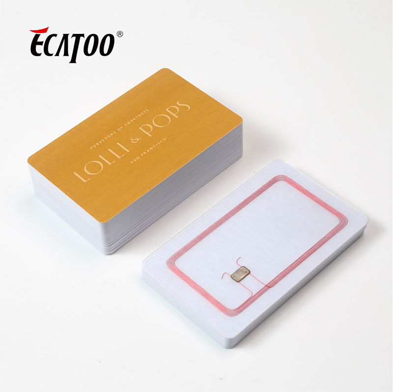 Смарт-карта ECATOO с защитой от кражи и RFID-блокировкой