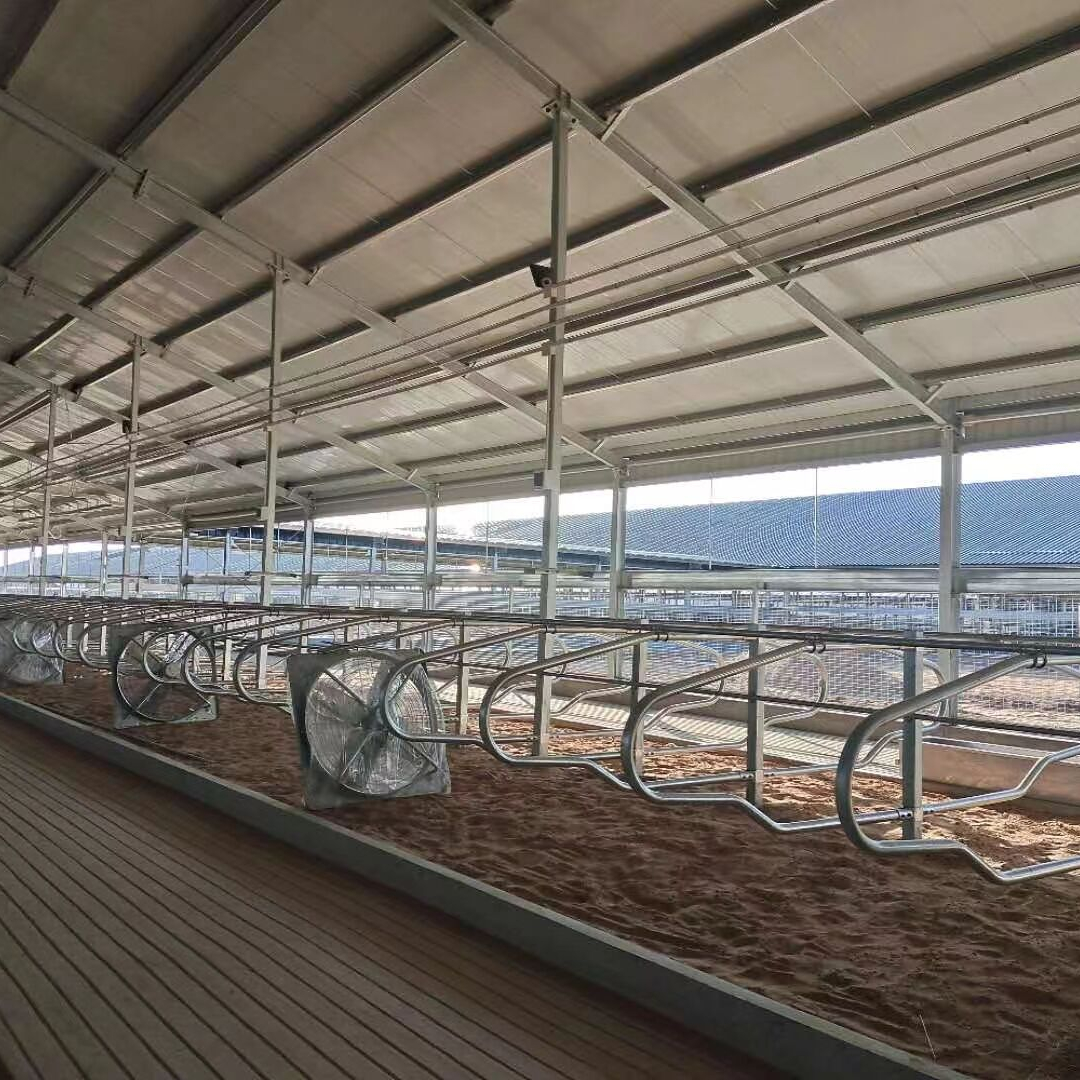 Dairy cattle farm livestock equipment