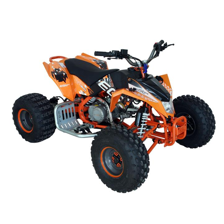 Новый 125cc/150cc гоночный квадроцикл ATV для продажи