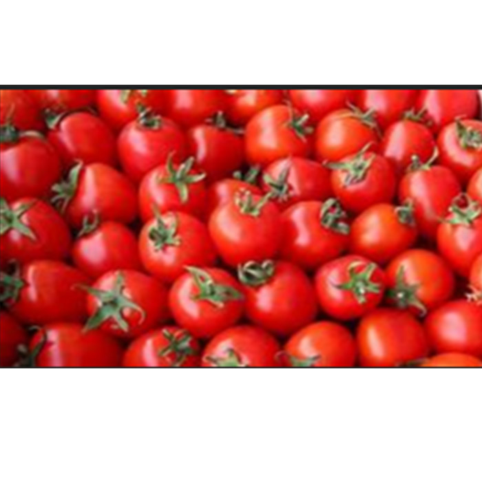Готовый продукт, свежие томаты в упаковке, свежие Томаты, Томаты