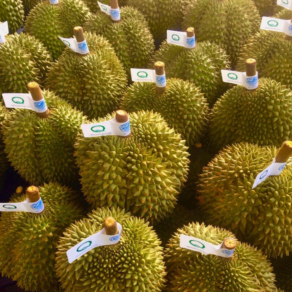 Свежие фрукты Durians Премиум-Качества Chanee из Таиланда