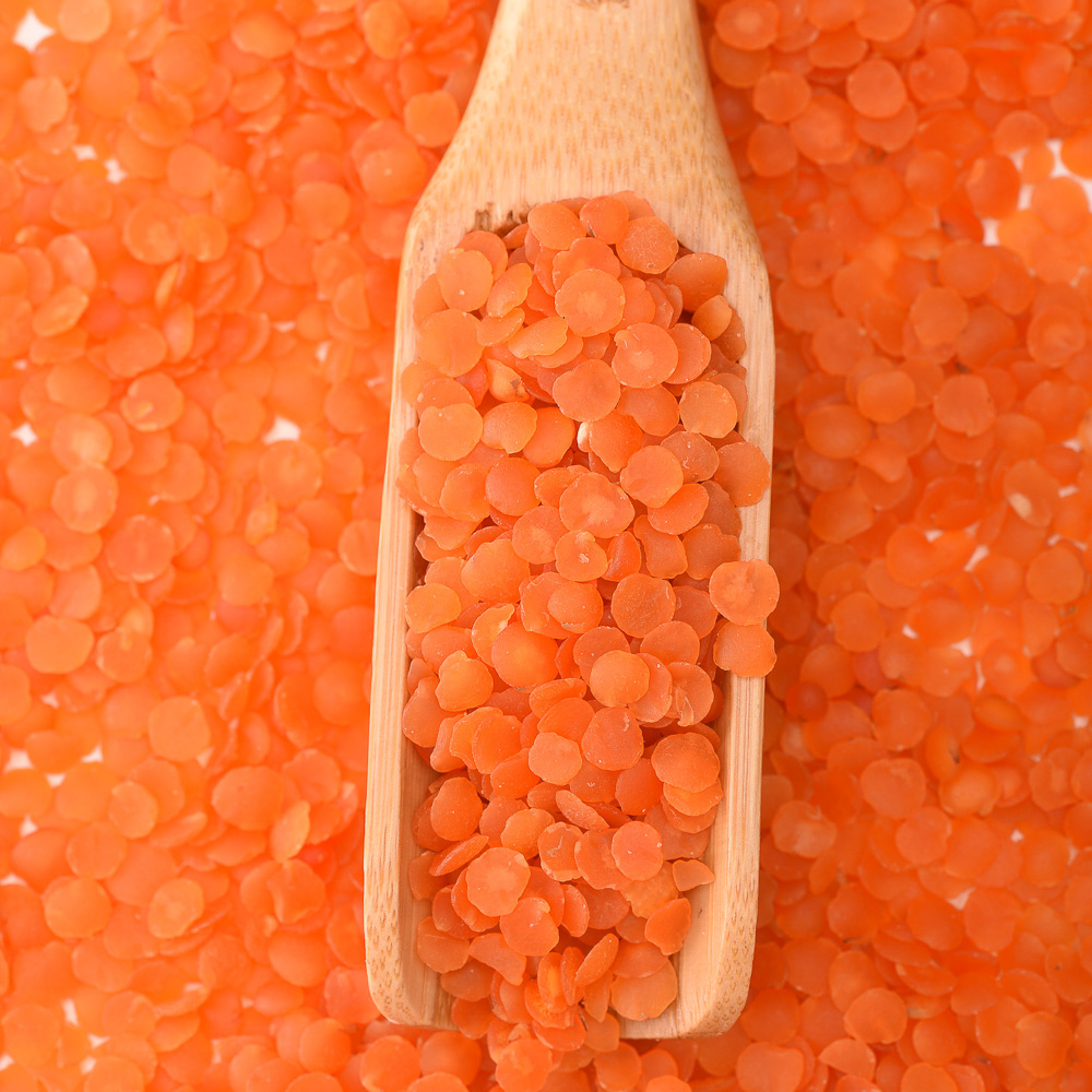Organic Agricultural Products Red Split Lentils Crop Beans Red Lentils Bulk