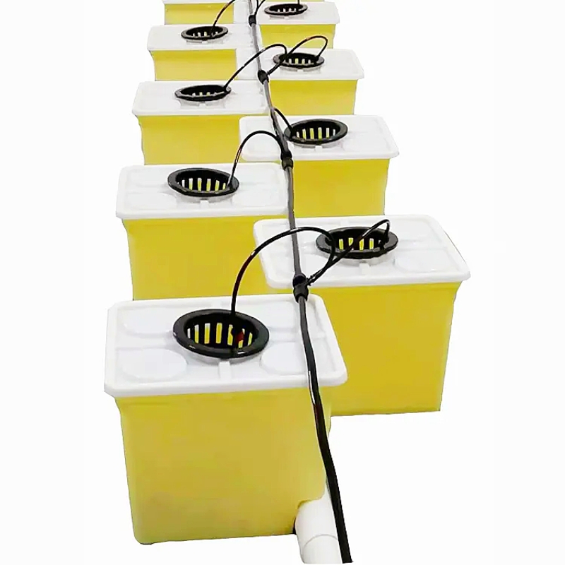 Small Greenhouse Hydroponic Dutch Bucket System for Cucumbers & Tomatoes Planting Pots with Motor Ventilation