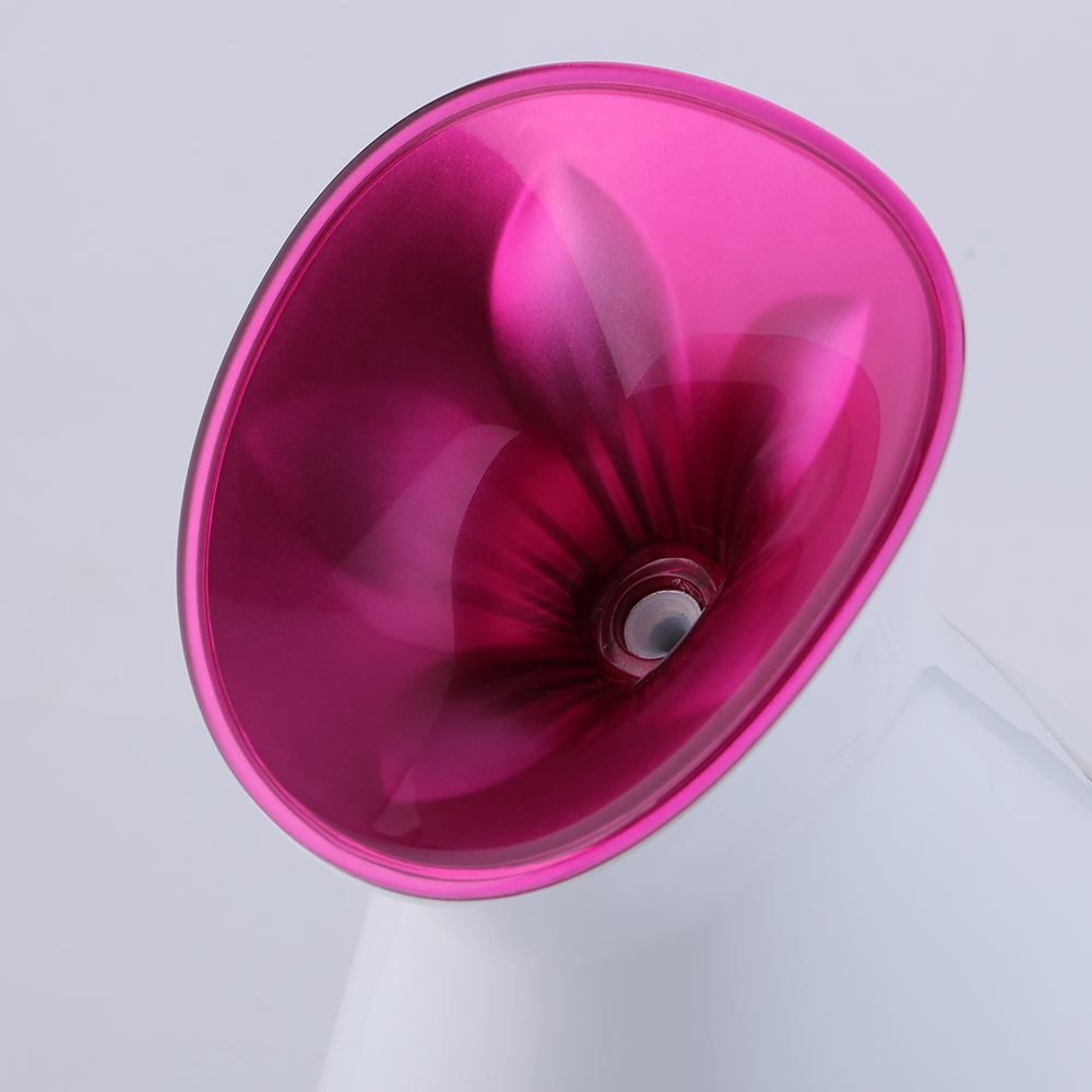 Private Label CE approved Ionic Nano Mist Skin Moisturizing Warm Mist Hot Face Facial Steamer