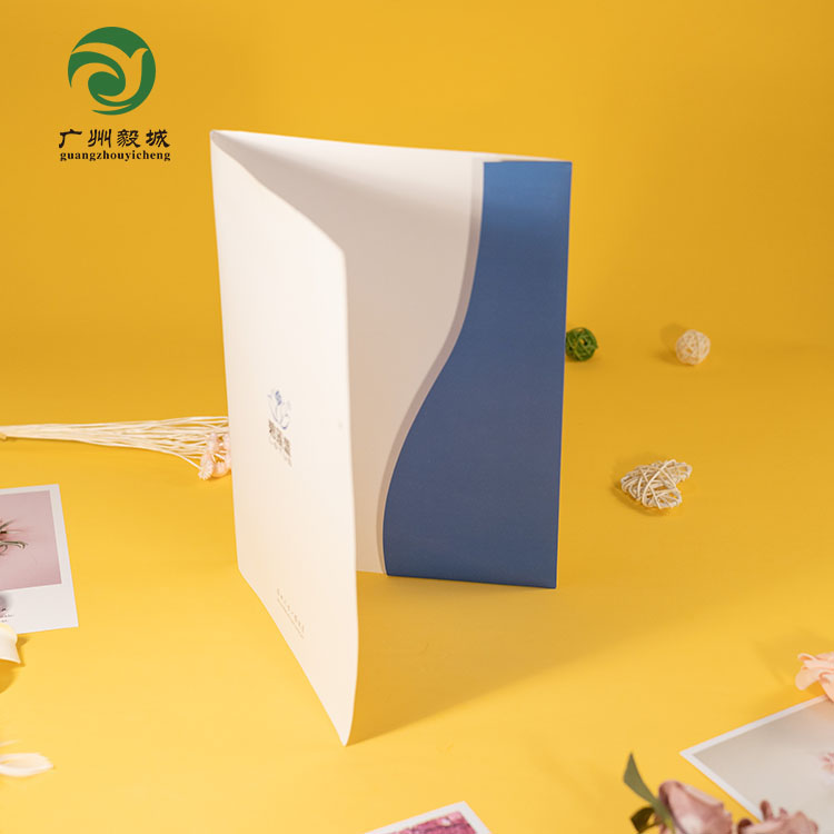 High Quality brochure manual Custom Printing Instruction Manual Booklet Leaflet