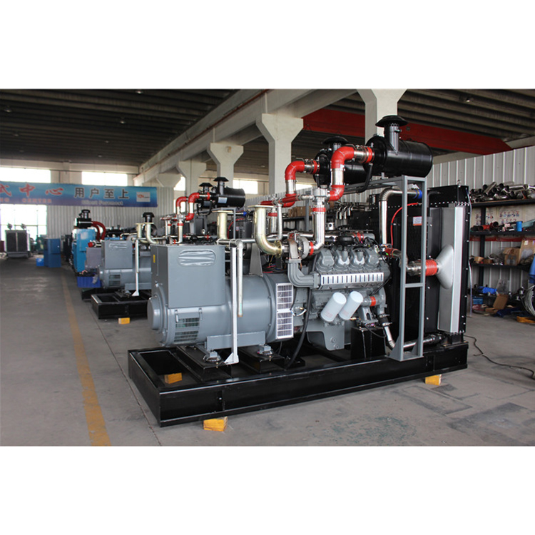 Королевский бренд Prime Power 250kva 300kw 500kw200kw, генератор природного газа с CHP, одобренный ISO CE