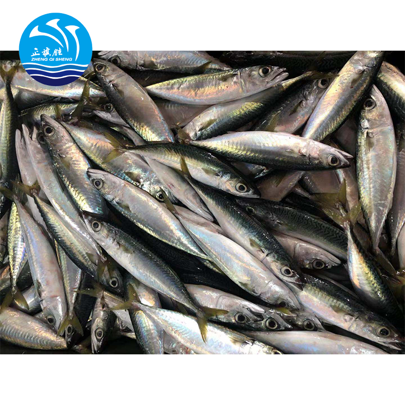 Замороженная свежая скумбрия, морская еда