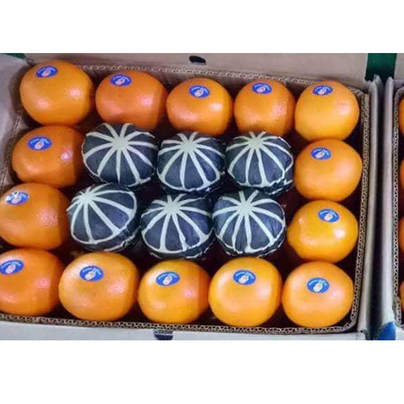 High Quality Low Price Bulk 100% Pure Natural Fresh Sweet Fruit Orange Valencia