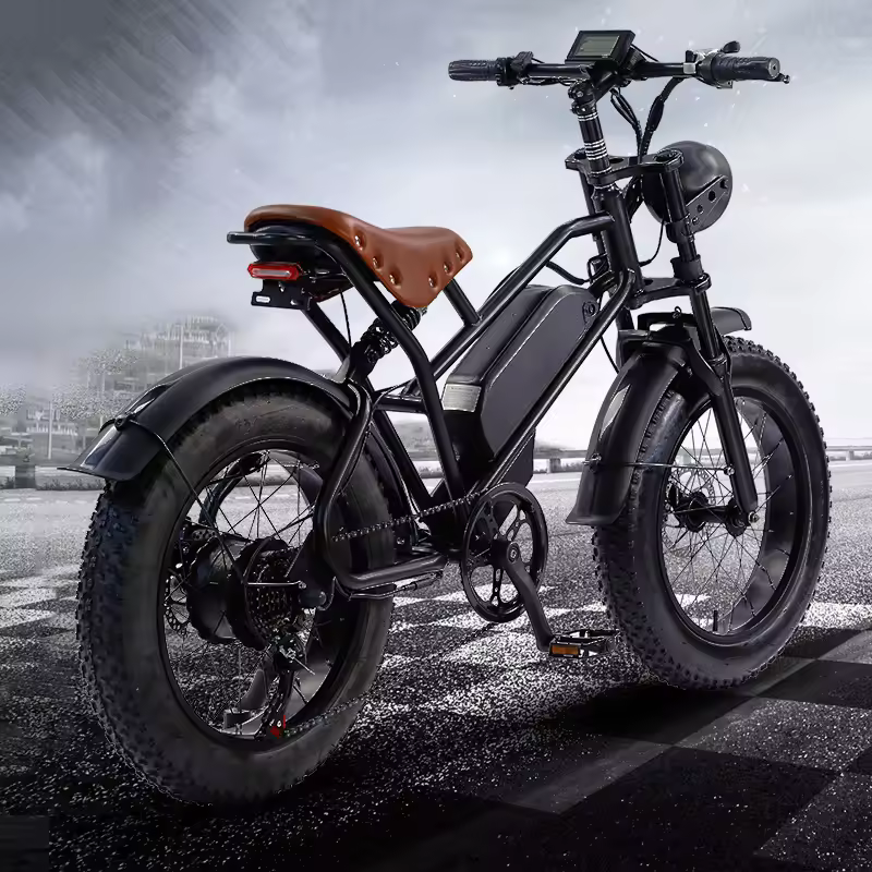 chinese supply hotsale 48v 500w 10ah 20inch fat tire snow electric mountain bike electric bike adult e-bike