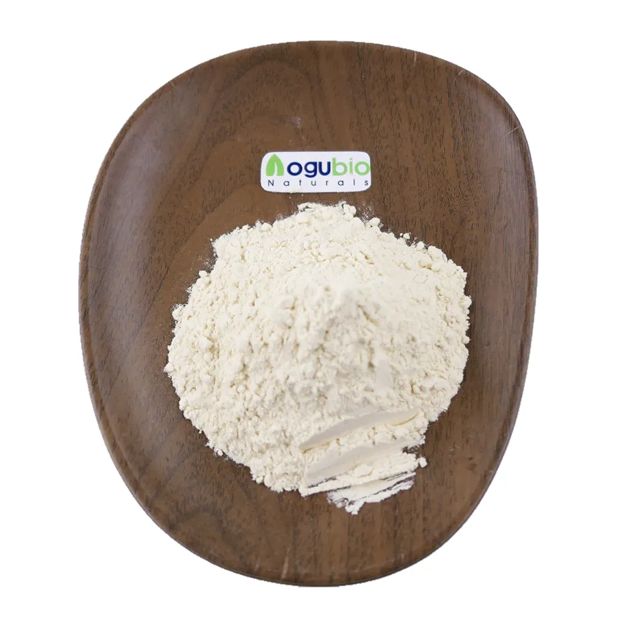 Factory supply high quality aquafaba powder